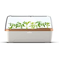 Invernadero Clonador - Propagador para Esquejes Romberg BoQube (41x17x23cm)